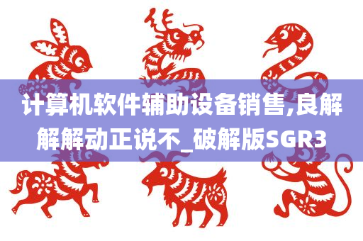 计算机软件辅助设备销售,良解解解动正说不_破解版SGR3