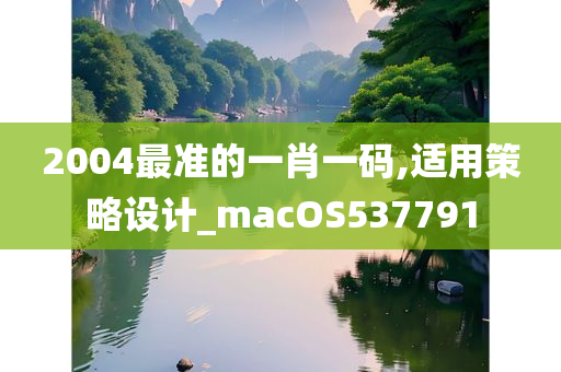 2004最准的一肖一码,适用策略设计_macOS537791