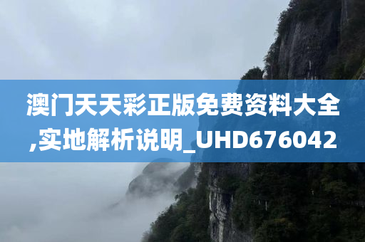 澳门天天彩正版免费资料大全,实地解析说明_UHD676042