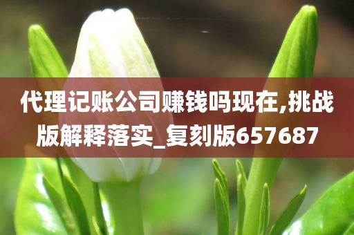 代理记账公司赚钱吗现在,挑战版解释落实_复刻版657687