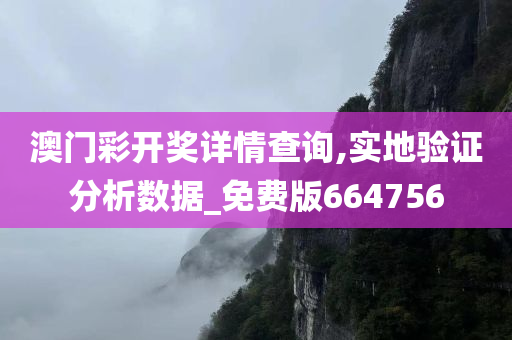 澳门彩开奖详情查询,实地验证分析数据_免费版664756