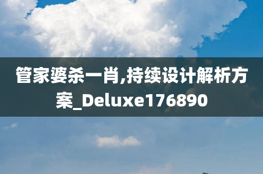 管家婆杀一肖,持续设计解析方案_Deluxe176890