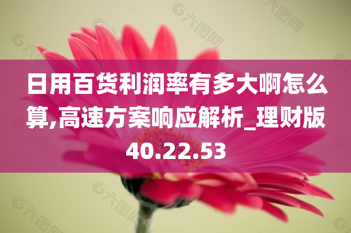 日用百货利润率有多大啊怎么算,高速方案响应解析_理财版40.22.53