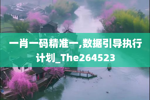 一肖一码精准一,数据引导执行计划_The264523