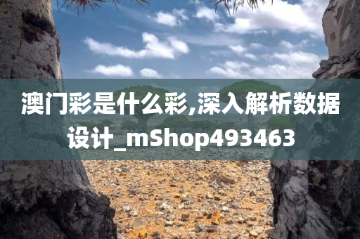 澳门彩是什么彩,深入解析数据设计_mShop493463