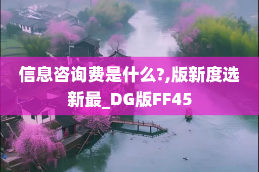 信息咨询费是什么?,版新度选新最_DG版FF45