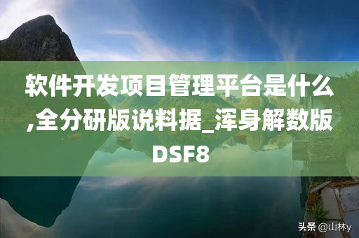 软件开发项目管理平台是什么,全分研版说料据_浑身解数版DSF8