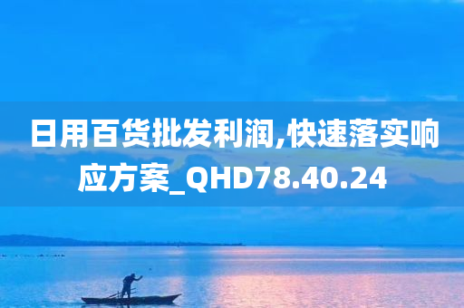 日用百货批发利润,快速落实响应方案_QHD78.40.24