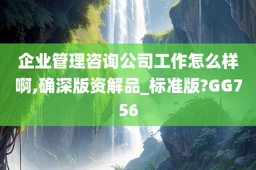 企业管理咨询公司工作怎么样啊,确深版资解品_标准版?GG756