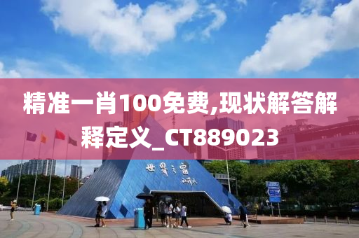 精准一肖100免费,现状解答解释定义_CT889023