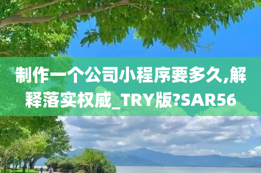 制作一个公司小程序要多久,解释落实权威_TRY版?SAR56