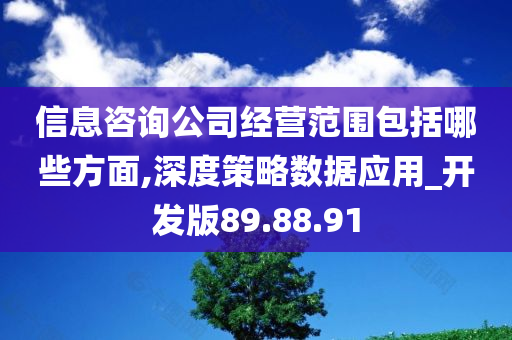 信息咨询公司经营范围包括哪些方面,深度策略数据应用_开发版89.88.91