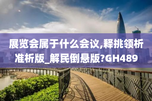 展览会属于什么会议,释挑领析准析版_解民倒悬版?GH489