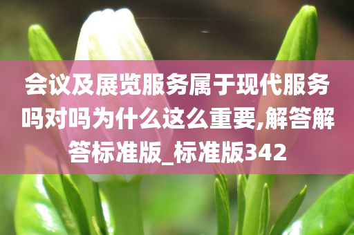 会议及展览服务属于现代服务吗对吗为什么这么重要,解答解答标准版_标准版342