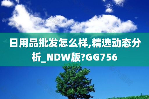 日用品批发怎么样,精选动态分析_NDW版?GG756