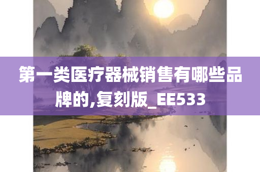 第一类医疗器械销售有哪些品牌的,复刻版_EE533