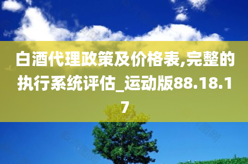 白酒代理政策及价格表,完整的执行系统评估_运动版88.18.17