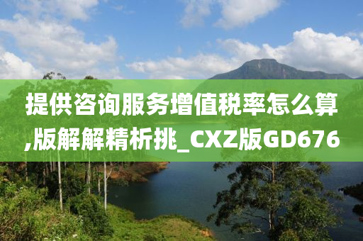 提供咨询服务增值税率怎么算,版解解精析挑_CXZ版GD676