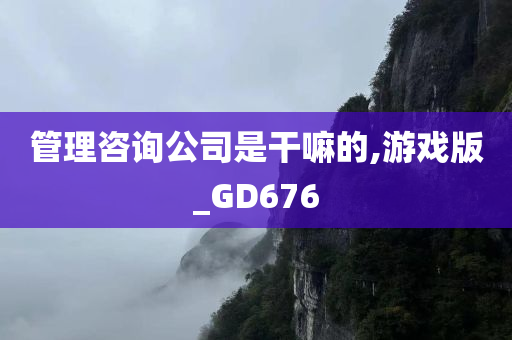 管理咨询公司是干嘛的,游戏版_GD676