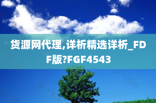 货源网代理,详析精选详析_FDF版?FGF4543