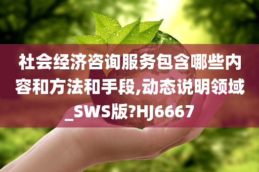 社会经济咨询服务包含哪些内容和方法和手段,动态说明领域_SWS版?HJ6667