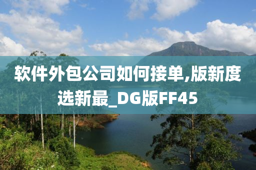 软件外包公司如何接单,版新度选新最_DG版FF45