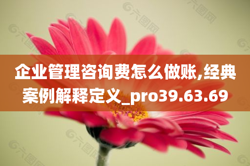 企业管理咨询费怎么做账,经典案例解释定义_pro39.63.69