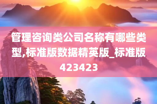 管理咨询类公司名称有哪些类型,标准版数据精英版_标准版423423