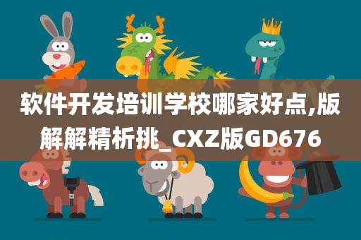 软件开发培训学校哪家好点,版解解精析挑_CXZ版GD676