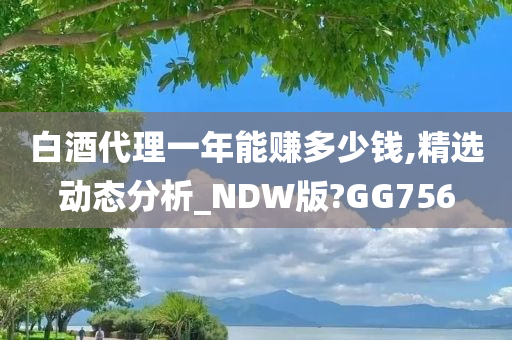 白酒代理一年能赚多少钱,精选动态分析_NDW版?GG756