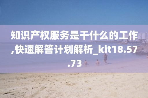 知识产权服务是干什么的工作,快速解答计划解析_kit18.57.73