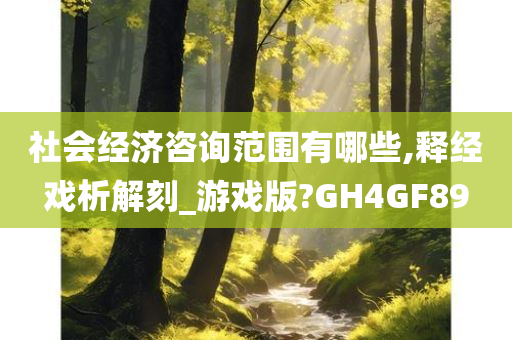 社会经济咨询范围有哪些,释经戏析解刻_游戏版?GH4GF89