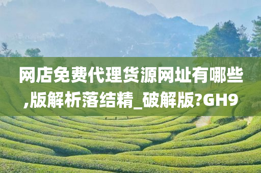 网店免费代理货源网址有哪些,版解析落结精_破解版?GH9