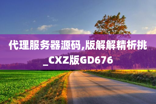 代理服务器源码,版解解精析挑_CXZ版GD676