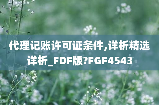 代理记账许可证条件,详析精选详析_FDF版?FGF4543