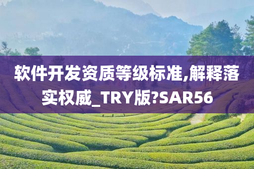 软件开发资质等级标准,解释落实权威_TRY版?SAR56