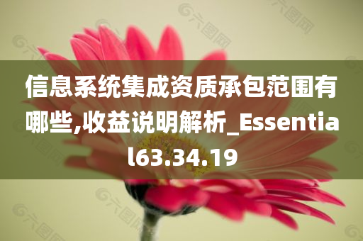 信息系统集成资质承包范围有哪些,收益说明解析_Essential63.34.19