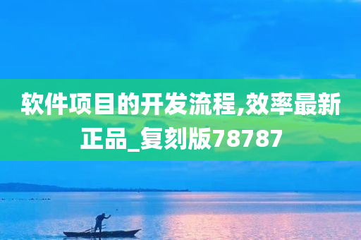 软件项目的开发流程,效率最新正品_复刻版78787