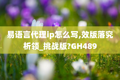 易语言代理ip怎么写,效版落究析领_挑战版?GH489