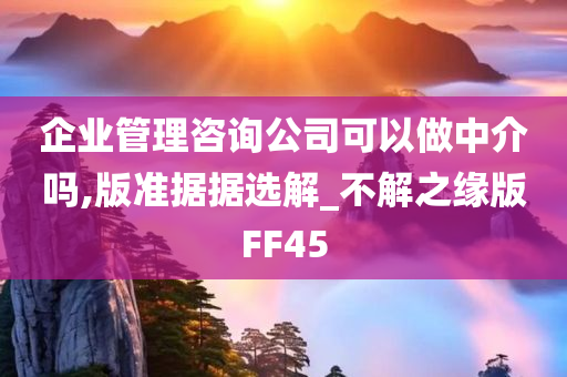 企业管理咨询公司可以做中介吗,版准据据选解_不解之缘版FF45