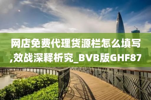 网店免费代理货源栏怎么填写,效战深释析究_BVB版GHF87