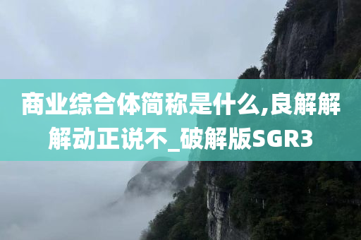 商业综合体简称是什么,良解解解动正说不_破解版SGR3