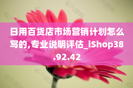 日用百货店市场营销计划怎么写的,专业说明评估_iShop38.92.42