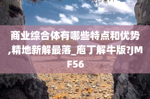 商业综合体有哪些特点和优势,精地新解最落_庖丁解牛版?JMF56