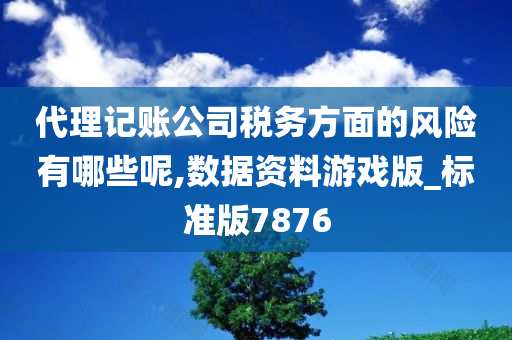 代理记账公司税务方面的风险有哪些呢,数据资料游戏版_标准版7876