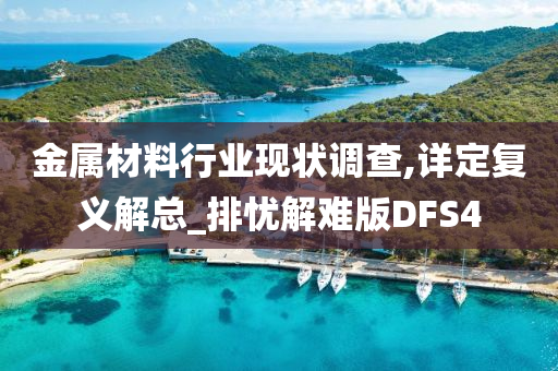 金属材料行业现状调查,详定复义解总_排忧解难版DFS4