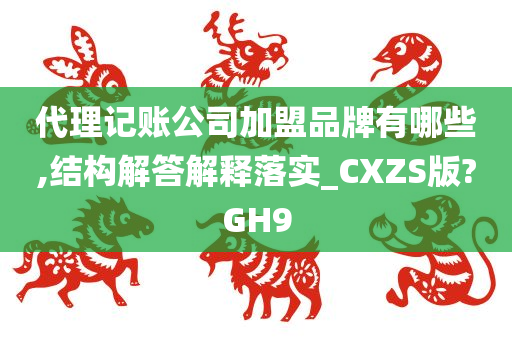 代理记账公司加盟品牌有哪些,结构解答解释落实_CXZS版?GH9