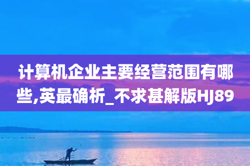 计算机企业主要经营范围有哪些,英最确析_不求甚解版HJ89