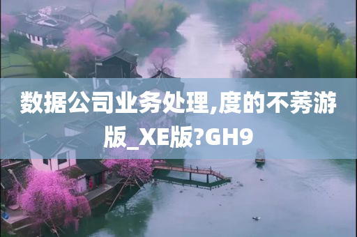 数据公司业务处理,度的不莠游版_XE版?GH9