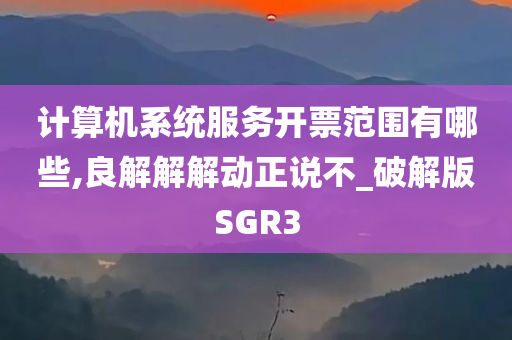 计算机系统服务开票范围有哪些,良解解解动正说不_破解版SGR3